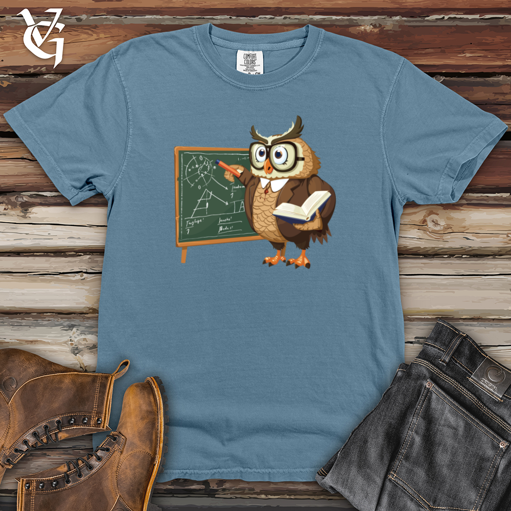 Wise Owl Educator Heavy Cotton Comfort Colors Tee