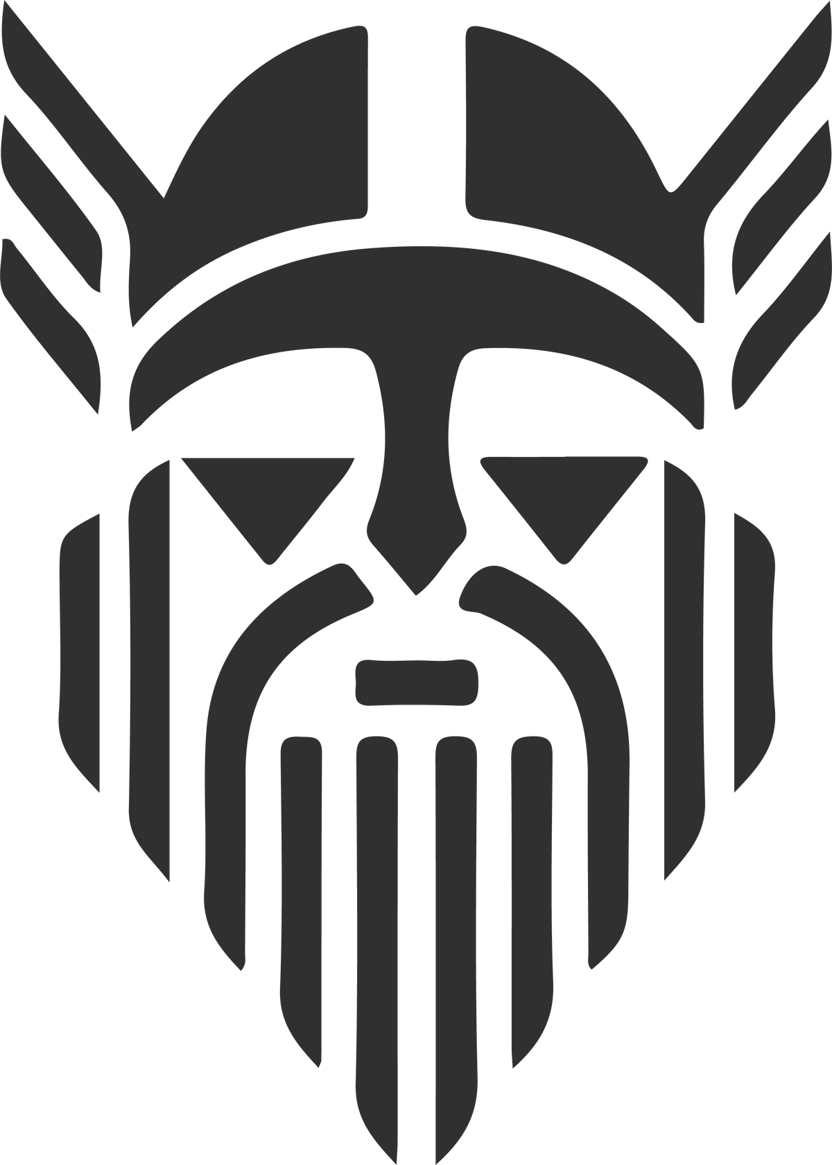 The picture vikinggoods.com shows when its homepage is shared