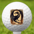 Dragon In a Frame Golf Ball 3 Pack
