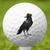 Crow Cap Golf Ball 3 Pack
