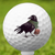 Raven Deva Golf Ball 3 Pack