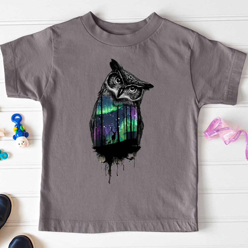 Viking Goods Northern Lights Owl Toddler Tee Storm / 2T